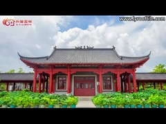 Toiture vitrée japonaise verte Plaine Vieille toiture vitrée Maison sculpture artisanale