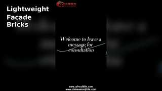 Bloc mural de panneaux de façade en brique creuse en céramique expansée